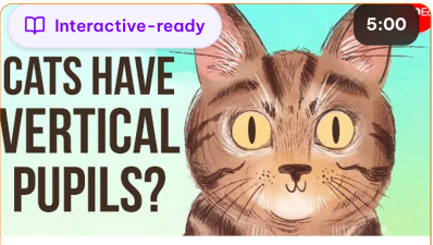 Why do cats have vertical pupils? – Emma Bryce